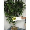 Image 1 : silk ficus tree