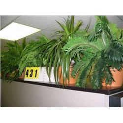 grouping of 5 fern silk plants