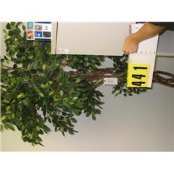 tall silk ficus plant