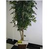 Image 1 : large silk ficus tree