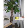 Image 1 : silk ficus tree with blooms