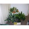 Image 1 : grouping of 3 silk decorative plants