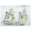 Image 2 : 5.18 CTW Aquamarine 14K Yellow Gold Diamond Errings
