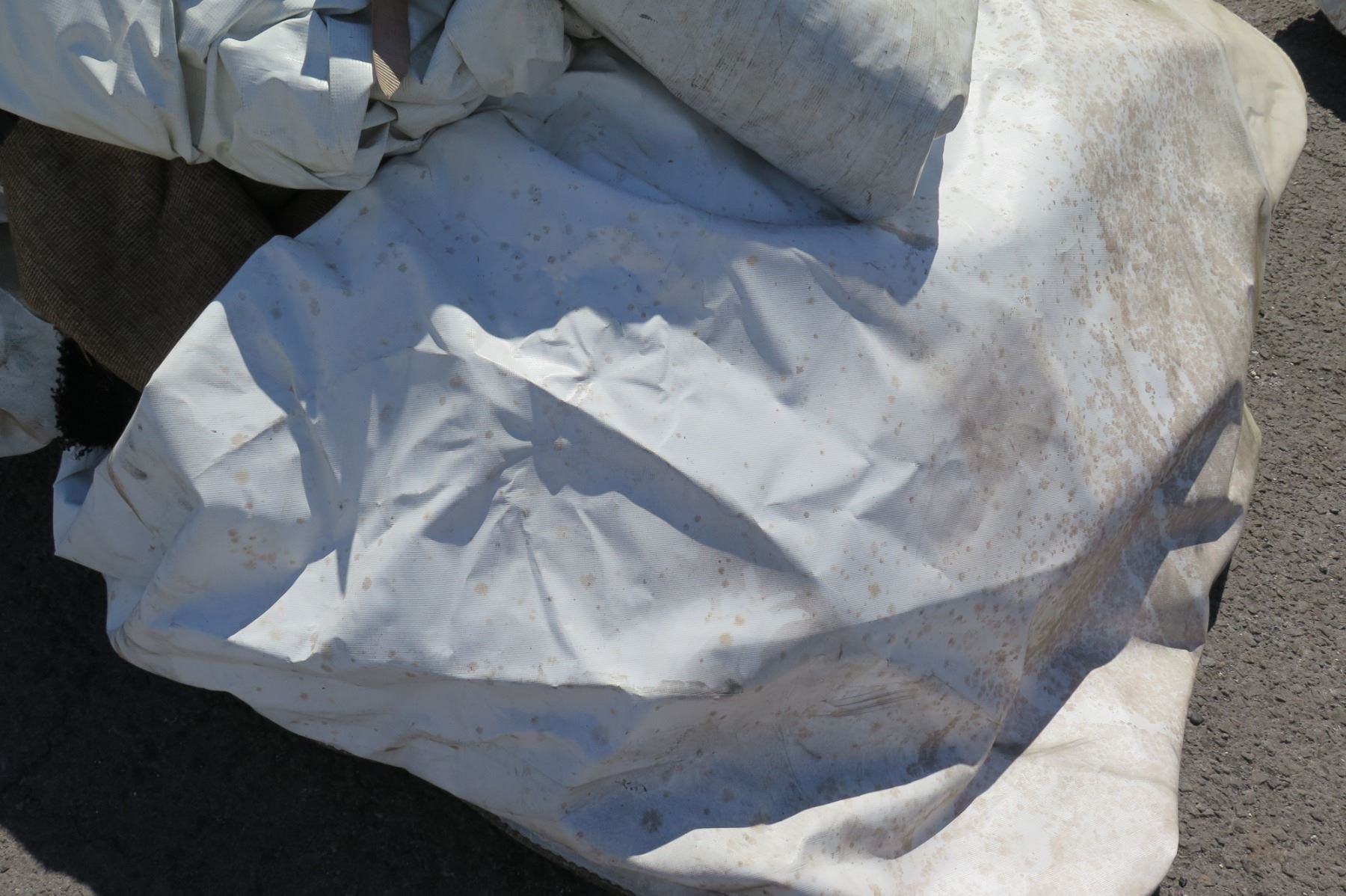 9 X 15 Tent 9 X 15 Tent