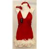 Image 1 : PEECABOO 2PC WOMENS ADULT THEMED RED SANTA COSTUME