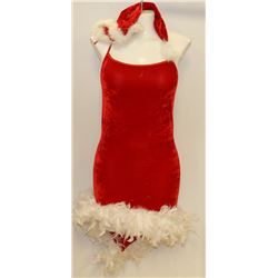 PEECABOO 2PC WOMENS ADULT THEMED RED SANTA COSTUME