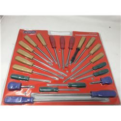 22 Piece Screwdriver Set