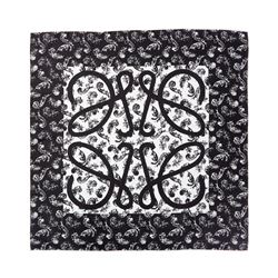 Loewe Silk Scarf