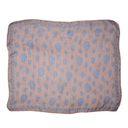 Alexander McQueen Silk Scarf