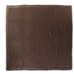 Louis Vuitton Silk/Wool Scarf