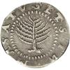 Image 1 : 1652 SHILNG Pine Tree Shilling, Small Planchet XF45 NG 1652[img border='0' src='http://www.heritagec