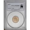 Image 3 : 1877 1C PR64 Red and Brown PCGS. A lovely example of t 1877[1C] PR64 Red and Brown PCGS.