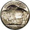 Image 2 : 1914 5C MS67 PCGS. In his book on the Buffalo nickel s 1914[5C] MS67 PCGS.
