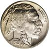 Image 1 : 1920-D 5C MS65 PCGS. The 1920-D Buffalo nickel is a le 1920-D[5C] MS65 PCGS.
