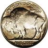 Image 2 : 1923-S 5C MS65 NGC. This is a splendid example that is 1923-S[5C] MS65 NGC.