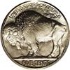 Image 2 : 1924-S 5C MS65 PCGS. Although produced in greater numb 1924-S[5C] MS65 PCGS.