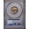 Image 2 : 1928 5C MS66 PCGS. Radiantly lustrous, champagne color 1928[5C] MS66 PCGS.