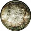 Image 1 : 1879-CC S$1 MS63 PCGS. Normal Mintmark. In the past, i 1879-CC[img border='0' src='http://www.herita