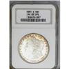 Image 1 : 1881-S S$1 MS65 Deep Mirror Prooflike NGC. Burnt-orang 1881-S[img border='0' src='http://www.heritag