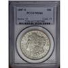 Image 1 : 1887-S S$1 MS64 PCGS. Lustrous surfaces are essentiall 1887-S[img border='0' src='http://www.heritag