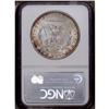 Image 2 : 1904-O S$1 MS66 NGC. Lustrous surfaces are bathed in c 1904-O[img border='0' src='http://www.heritag