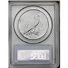 Image 2 : 1923-S S$1 MS64 PCGS. Pebbly-like surfaces are essenti 1923-S[img border='0' src='http://www.heritag