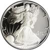 Image 1 : 1995-W S$1 Silver Eagle PR69 Deep Cameo PCGS. A glitte 1995-W[img border='0' src='http://www.heritag