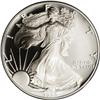 Image 1 : 1995-W S$1 Silver Eagle PR69 Deep Cameo PCGS. Sparklin 1995-W[img border='0' src='http://www.heritag