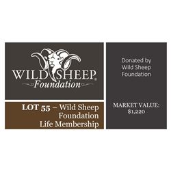 Wild Sheep Foundation Life Membership