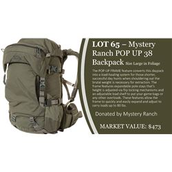 Mystery Ranch Pop Up 38 Backpack in Foliage ~ Size Large