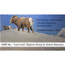 "Last Look" bighorn sheep painting by Robert Bateman