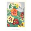 Image 1 : 1920's Nasturtium Color Lithograph Print