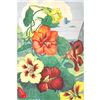 Image 2 : 1920's Nasturtium Color Lithograph Print
