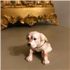 Image 2 : Adorable Little Labrador Retriever Puppy Jewel Trinket Box