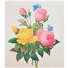 Image 1 : After Pierre-Jospeh Redoute, Floral Print, #127 Rose jaune et de Rose du Bengale (Rose)