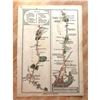 Image 1 : Rare, Late 1700's English Road Maps, London to East Grinsted
