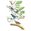 Image 1 : c1946 Audubon Print, #74 Indigo Bunting
