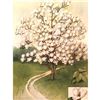 Image 2 : 1920's Yulan Magnolia Color Lithograph Print