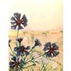 Image 2 : 1920's Bachelor's Button ( Corn Flower ) Color Lithograph Print