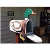 Image 1 : DUCK MAILBOX