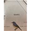 Image 2 : QUARTZ SONG BIRD WALL CLOCK - MADE IN CHINA - BATTERY POWERED