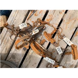 LOT OF 5 VICTOR TRAPS