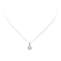 14KT White Gold 0.85 ctw Diamond Pendant & Chain