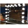 Image 2 : FONTAINEBLEAU BEVELED MIRROR 13 LED VANITY-D