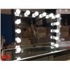 Image 1 : FONTAINEBLEAU BEVELED MIRROR 13 LED VANITY-H