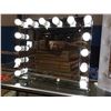 Image 2 : FONTAINEBLEAU BEVELED MIRROR 13 LED VANITY-I