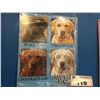 Image 3 : GROUP OF SIX METAL SIGNS - ASSORTED SIGNS, UNIQUE SAYINGS