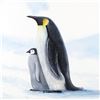 Image 2 : Antarctic Penguins by Wyland