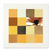 Image 1 : Florid Focus by Rider Original