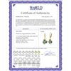 Image 2 : Genuine 17.5 ctw Green Amethyst Earrings 14KT Yellow Gold - REF-39A3K